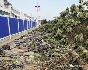 滸灣“一水兩岸”景觀工程正式啟動勘察，打造濱水生態新地標